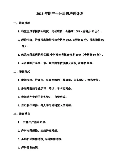 产房护士分层级培训计划