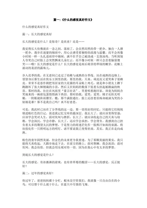 什么什么感觉让我真好作文400字
