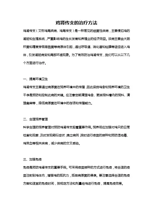 鸡肾传支的治疗方法