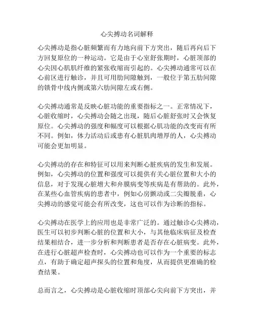 心尖搏动名词解释
