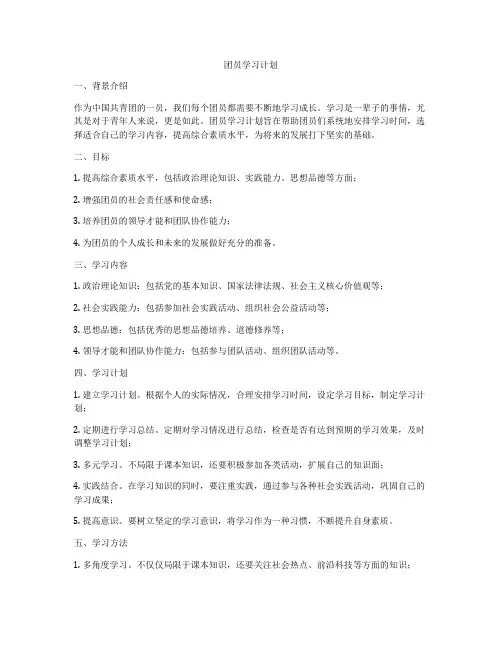 团员学习计划