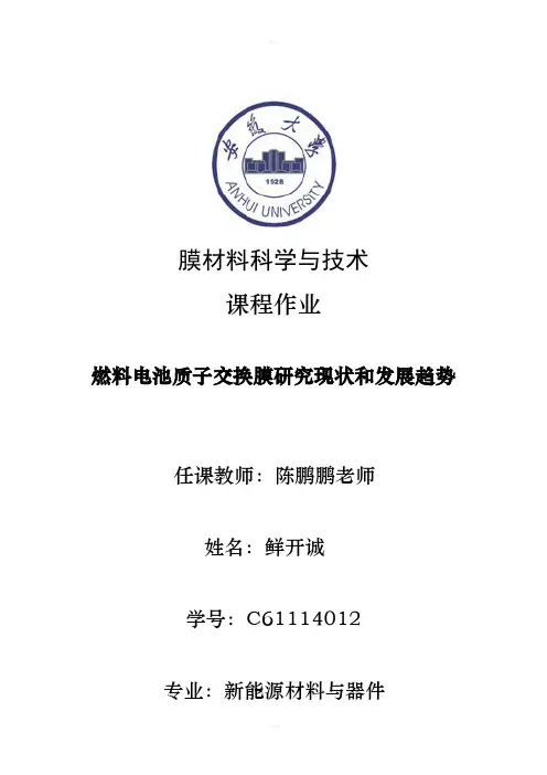 燃料电池质子交换膜研究现状和发展趋势
