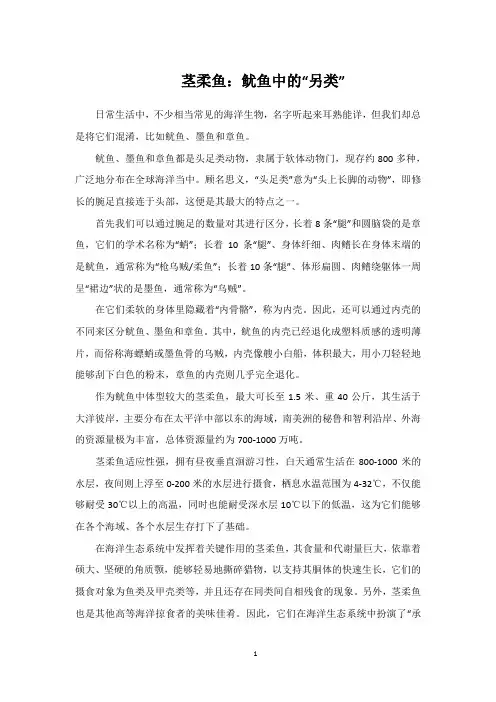 茎柔鱼：鱿鱼中的“另类”