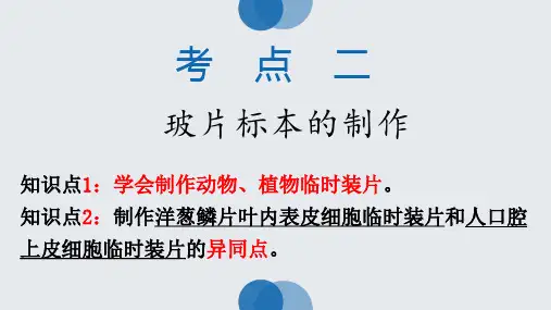 细胞是生命活动的基本单位
