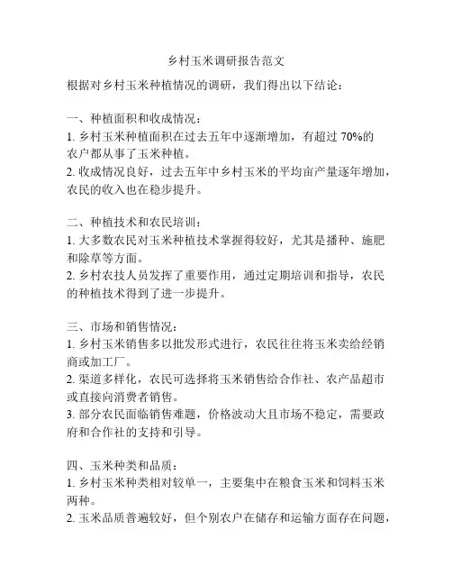 乡村玉米调研报告范文