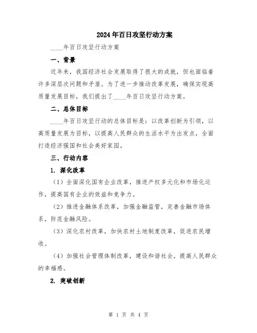 2024年百日攻坚行动方案