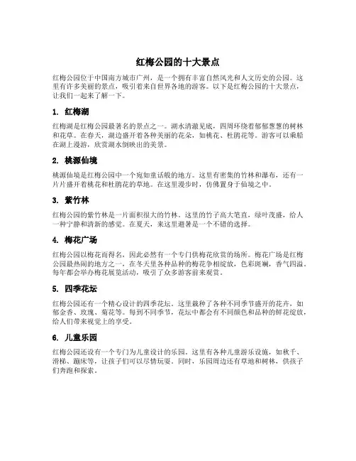 红梅公园的十大景点