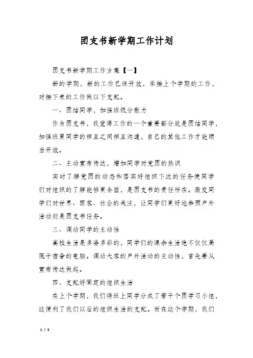 团支书新学期工作计划