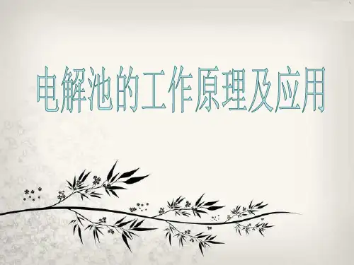 电解池的工作原理及应用(精华版)