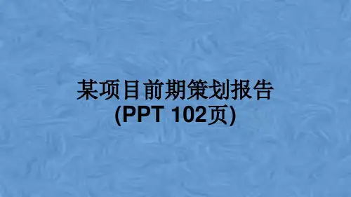 某项目前期策划报告(PPT 102页)