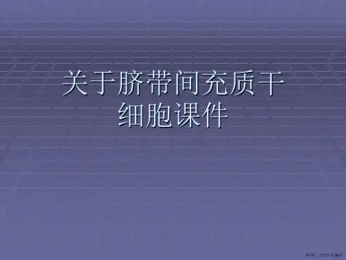 脐带间充质干细胞课件课件