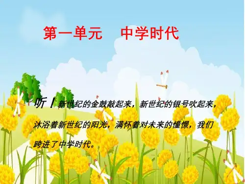 中学时代 ppt课件
