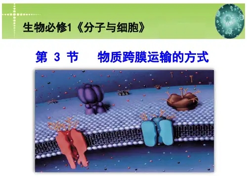 新人教版生物必修一4-3 物质跨膜运输的方式(共46张PPT)