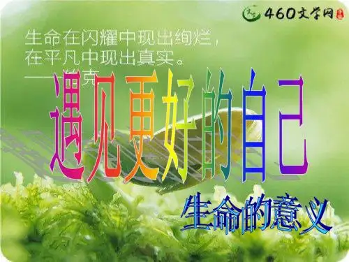部编人教版《道德与法治》七年级上册10.1《感受生命的意义》课件(共24张PPT)