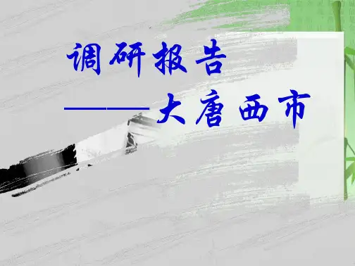 大唐西市调研报告(共44张PPT)