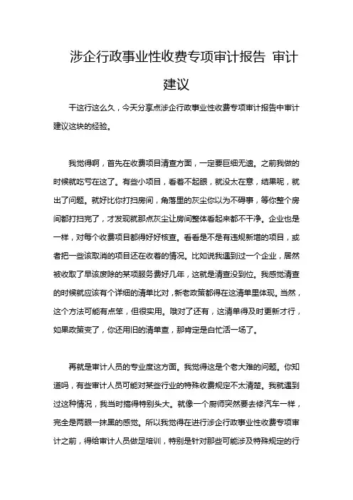 涉企行政事业性收费专项审计报告 审计建议