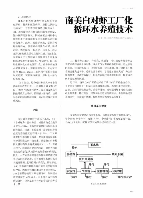 南美白对虾工厂化循环水养殖技术