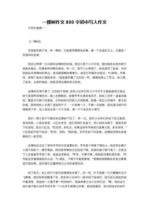 一棵树作文800字初中写人作文