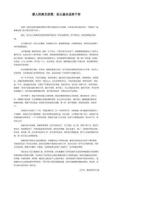 感人的美文欣赏：在心里永远有个你