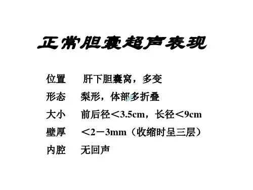 胆囊与超声诊断