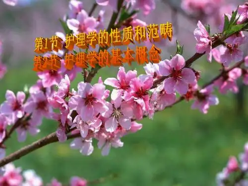 新第三章 护理学 第一节 性质  第二节 概念
