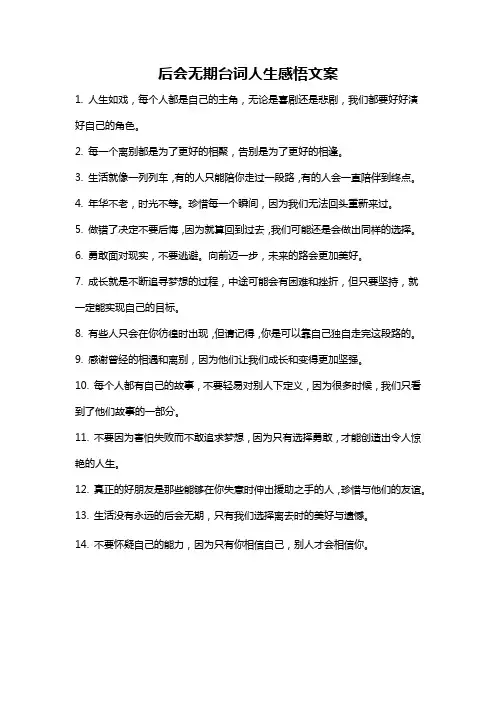后会无期台词人生感悟文案