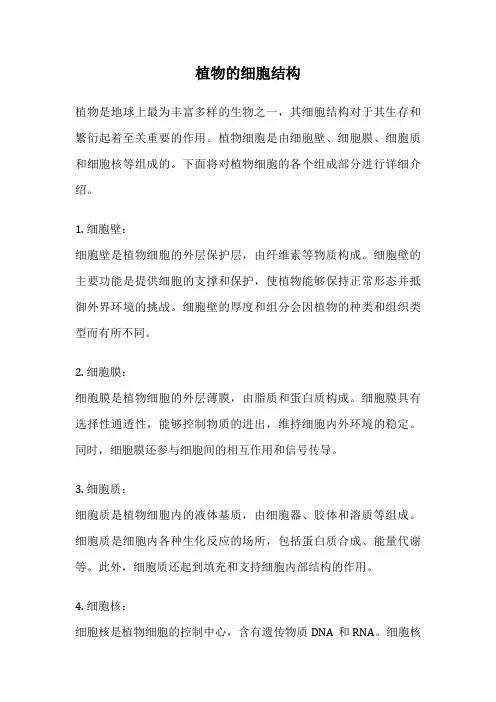 植物的细胞结构