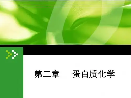 生物化学——蛋白质