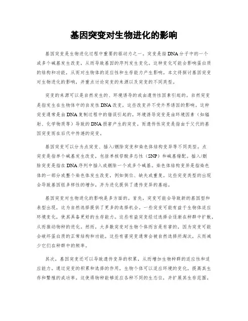 基因突变对生物进化的影响