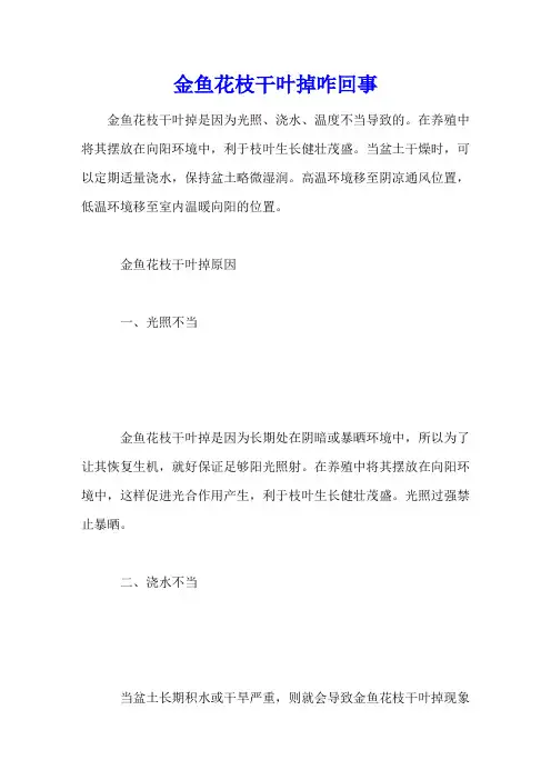 金鱼花枝干叶掉咋回事