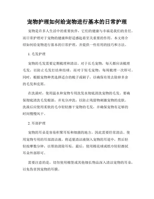 宠物护理如何给宠物进行基本的日常护理