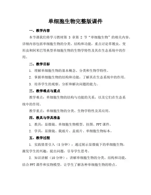 单细胞生物完整版课件