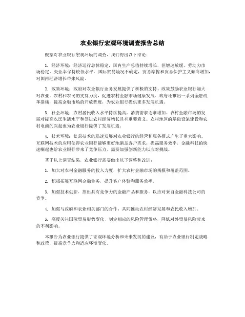 农业银行宏观环境调查报告总结
