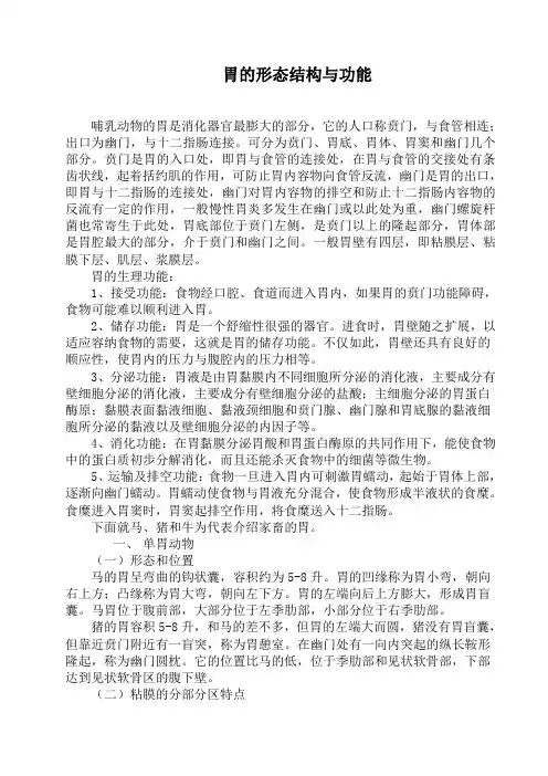 胃的形态结构与功能