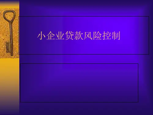 小企业贷款风险控制课件