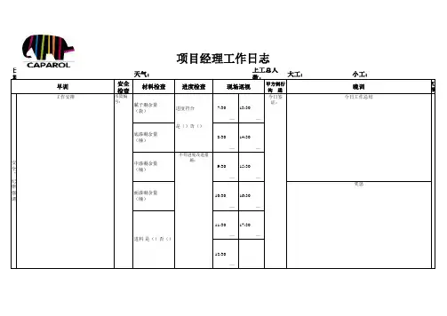 项目经理工作日志