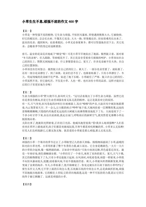 小草生生不息,顽强不屈的作文400字