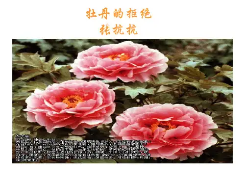 《牡丹的拒绝》解读