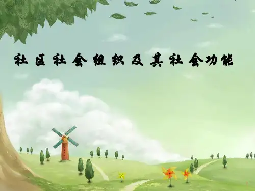 社区社会组织ppt课件