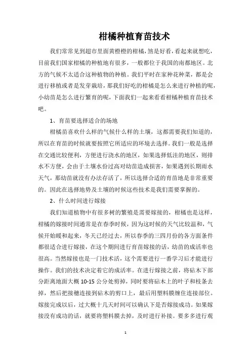柑橘种植育苗技术