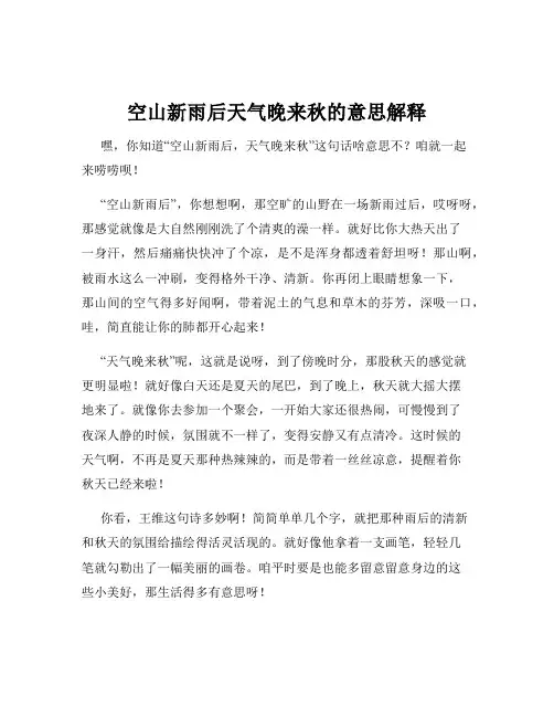 空山新雨后天气晚来秋的意思解释