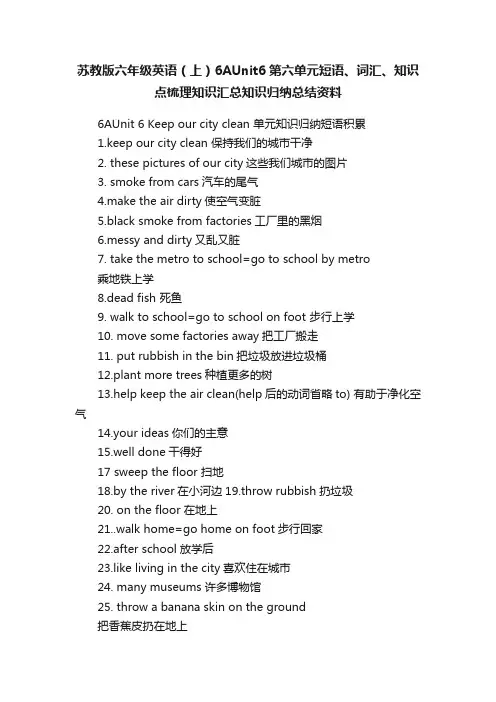 苏教版六年级英语（上）6AUnit6第六单元短语、词汇、知识点梳理知识汇总知识归纳总结资料