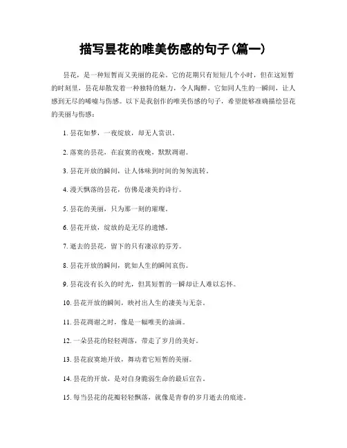 描写昙花的唯美伤感的句子(精选合集2篇)