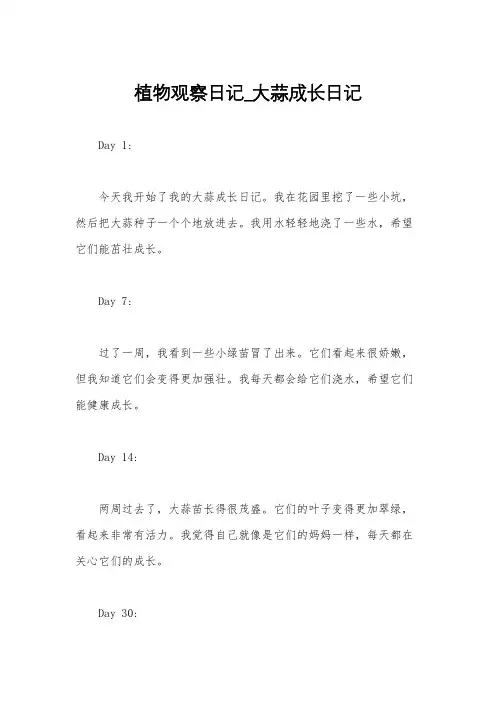 植物观察日记_大蒜成长日记