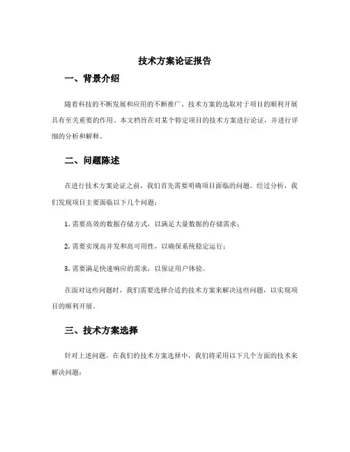 技术方案论证报告