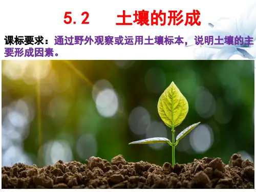土壤课件人教版(2019)高中地理必修第一册