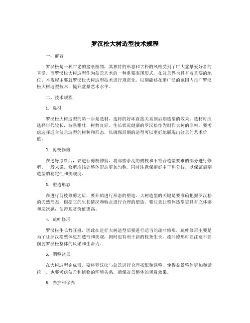 罗汉松大树造型技术规程