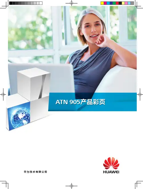 华为技术有限公司 ATN 905 产品彩页说明书