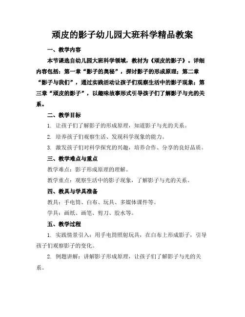 顽皮的影子幼儿园大班科学精品教案