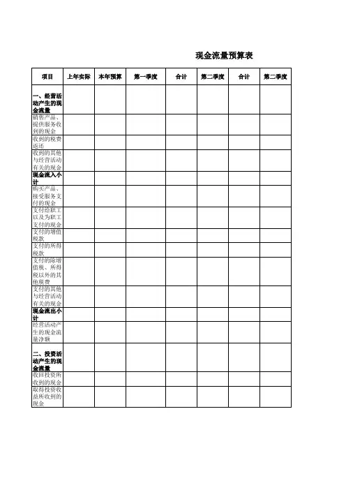 现金流量预算表-百袖